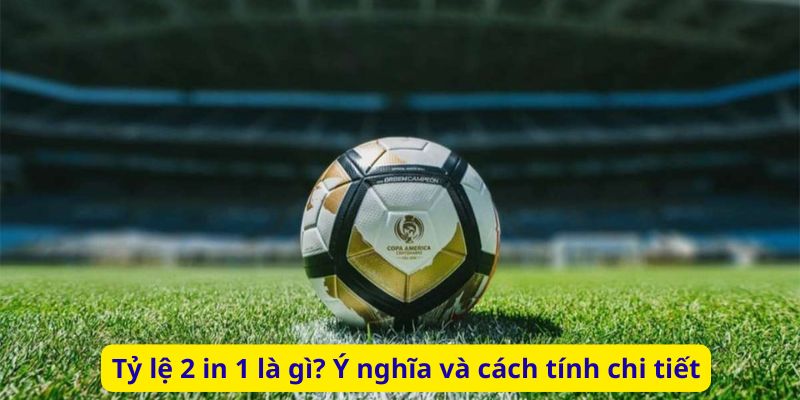 Tỷ lệ 2 in 1 là gì? Ý nghĩa và cách tính chi tiết