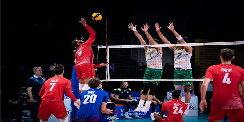 Cá Cược Bóng Chuyền Trên BONGVIP Và Những Lưu Ý Quan Trọng